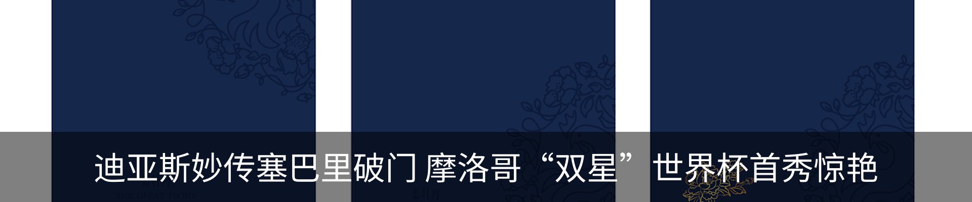 新闻动态